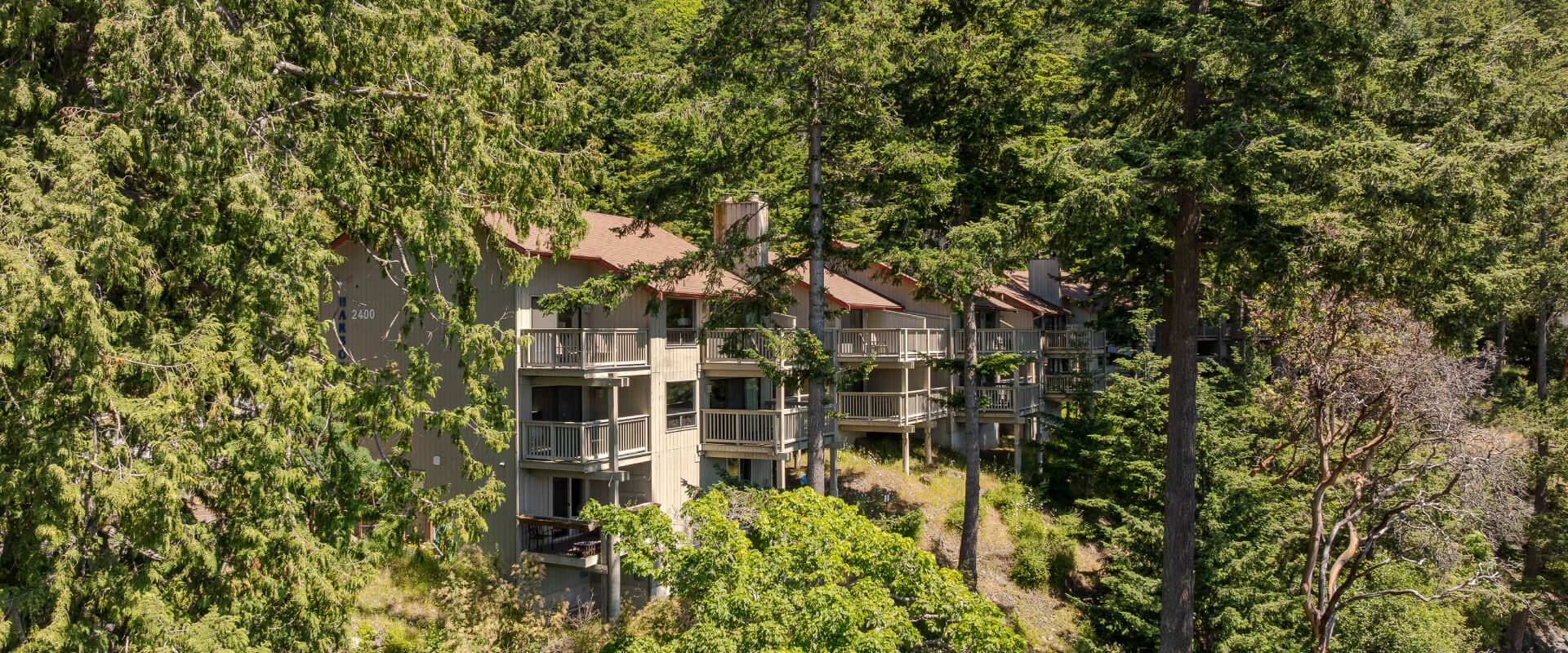 Harborside on Orcas Island Feature Image