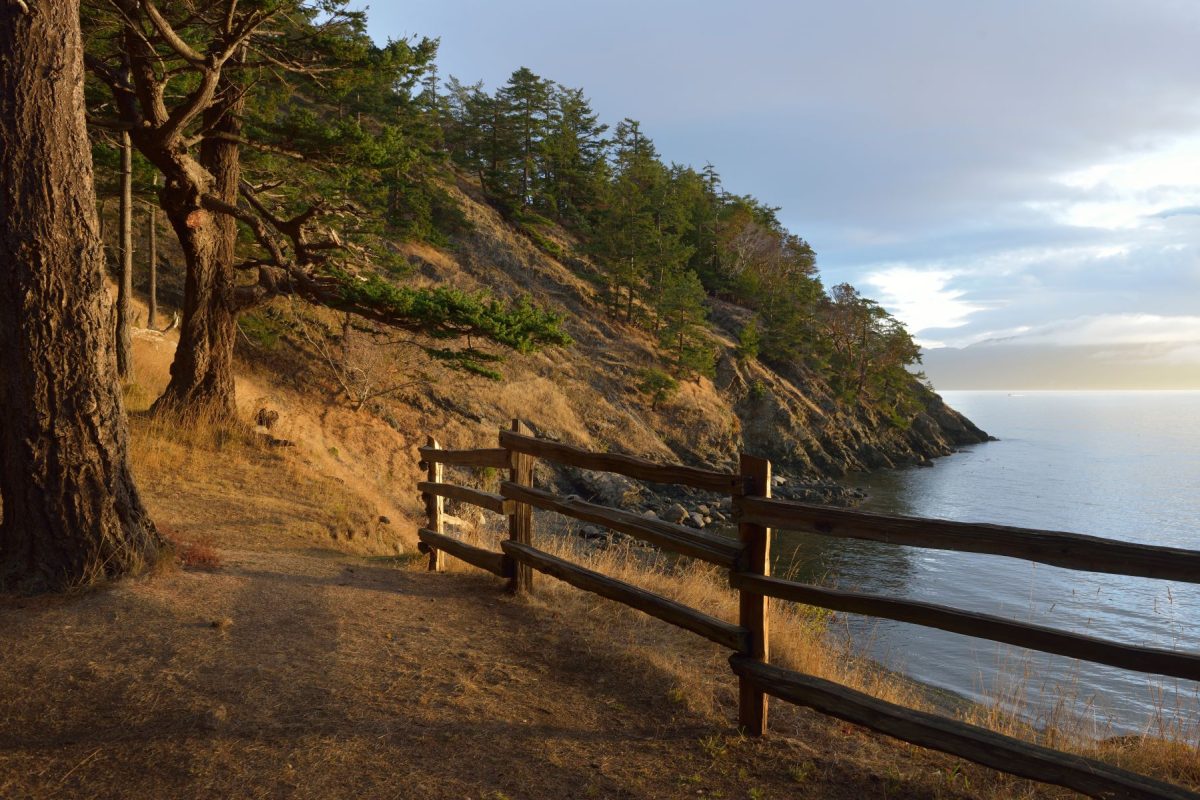 waterfront trail on san juan islands