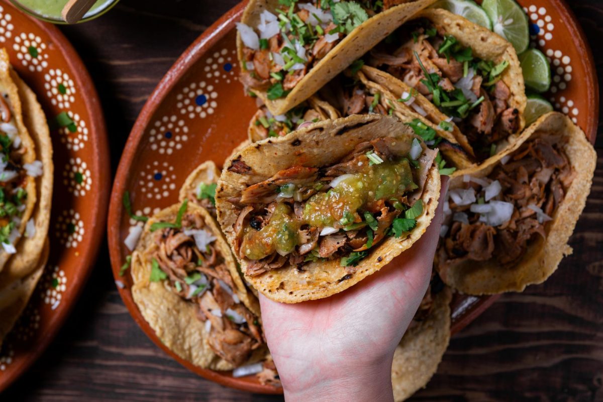Person holding a Mexican street taco
