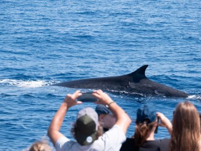 Group of people on a whale watching tour